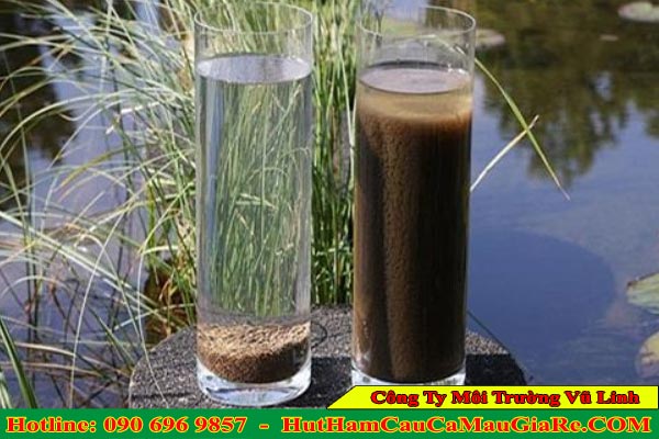 Cung cấp vận chuyển bùn vi sinh Cà Mau Vũ Linh giá rẻ